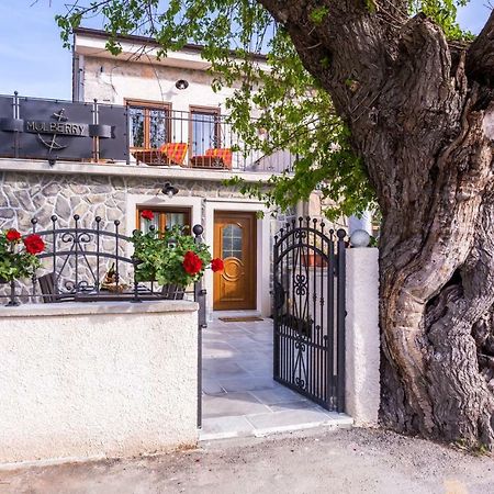 Villa Mulberry Milohnici Zewnętrze zdjęcie