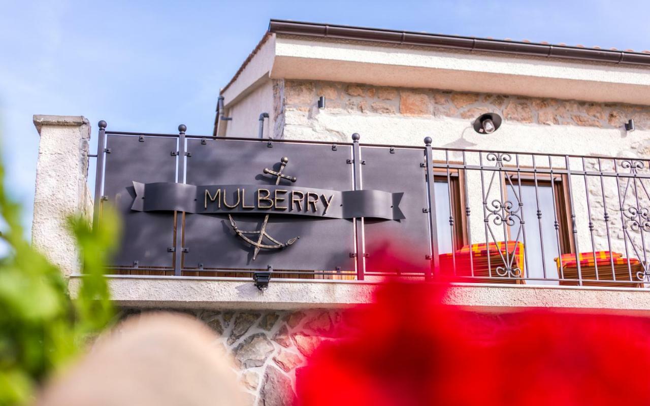 Villa Mulberry Milohnici Zewnętrze zdjęcie
