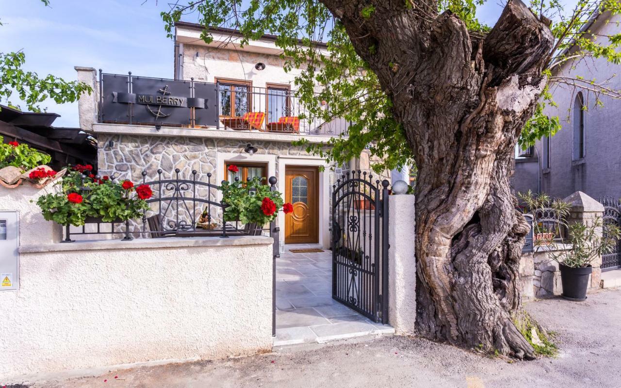 Villa Mulberry Milohnici Zewnętrze zdjęcie