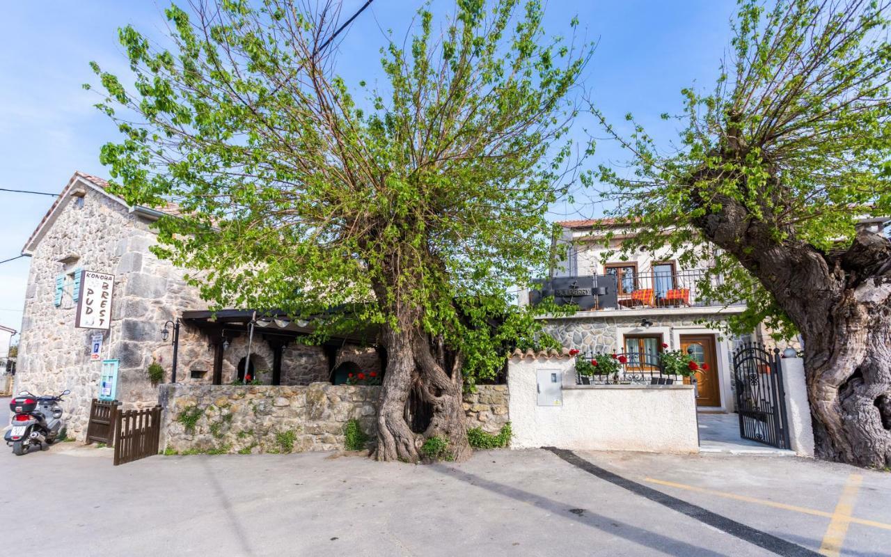 Villa Mulberry Milohnici Zewnętrze zdjęcie